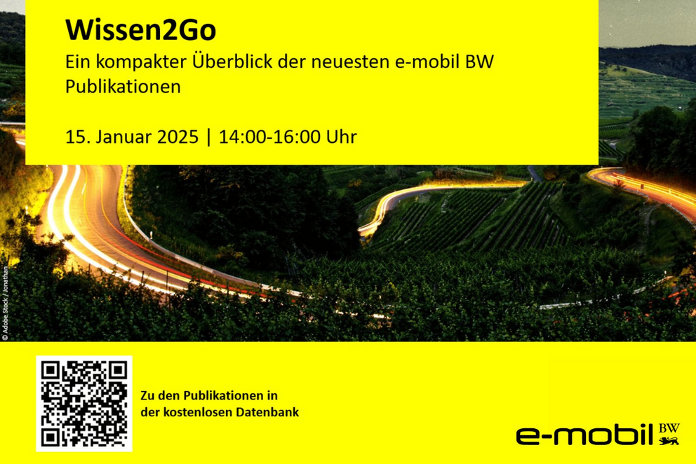 Screenshot aus der Online Studienvorstellung Wissen2Go vom 15.01.2025