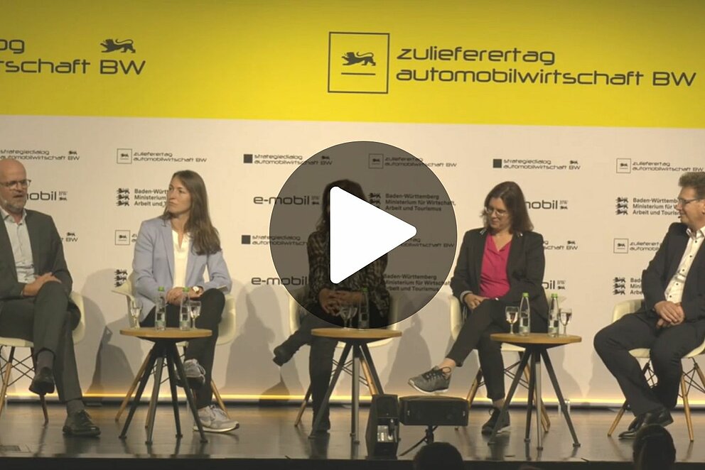 Bei Klick auf das Bild öffnet sich die zum Video gehörende Meldung.