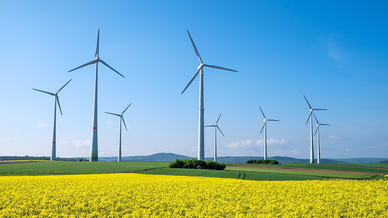Windräder auf einer grünen Wiese mit gelben Rapsfeldern im Vordergrund und blauem Himmel