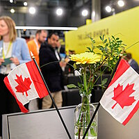 Zwei kleine Fahnen des Landes Kanada in einer Blumenvase.