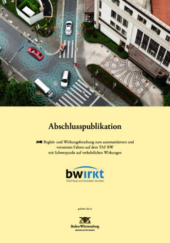 Abschlusspublikation bwirkt